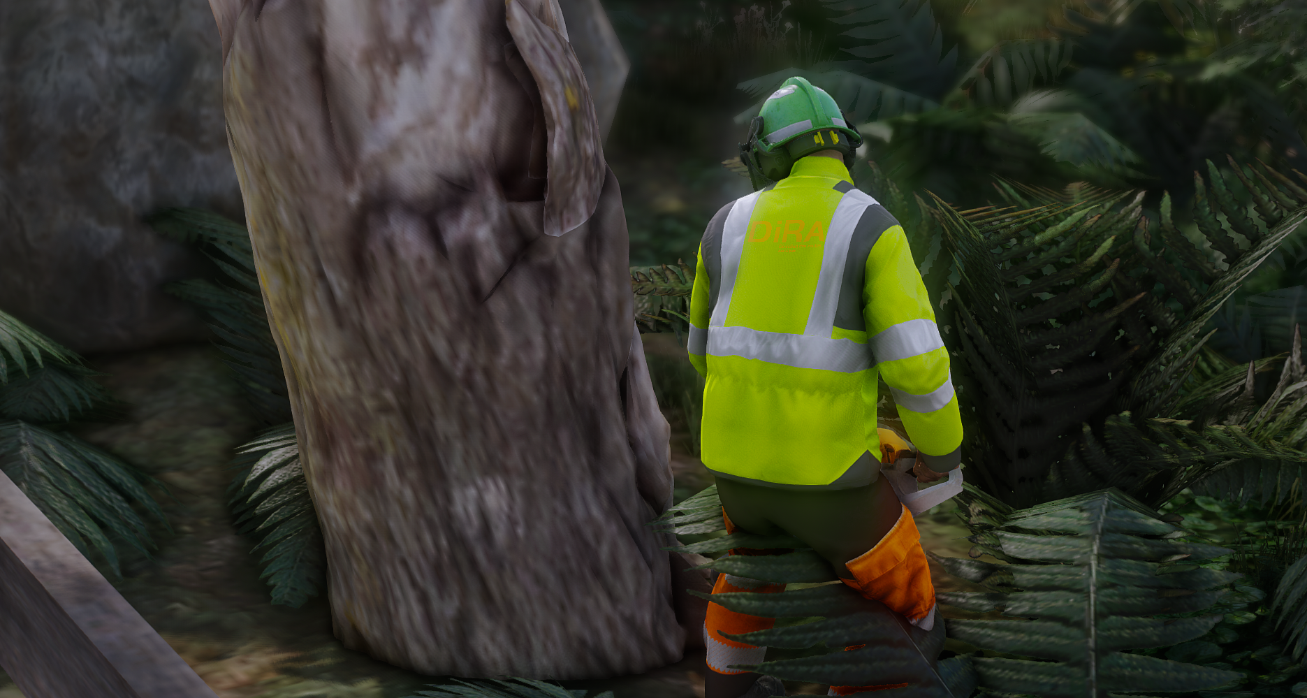 Photo du serveur Alpes du Sud Simulation